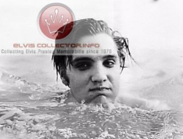 WM 1956 Elvis in pool only show head